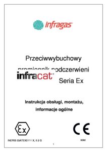 INFRACAT-Ex-PL-08-pdf-212x300